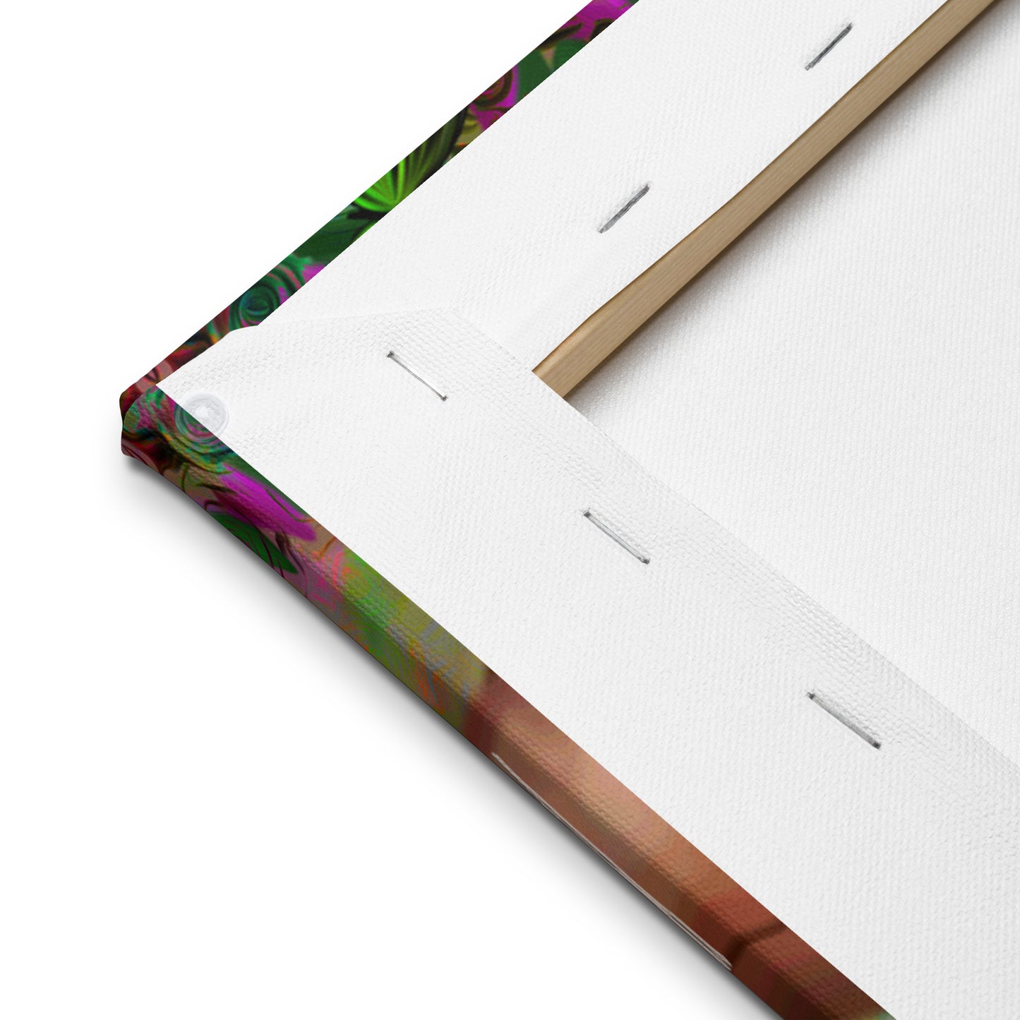 Ayahnah canvas print