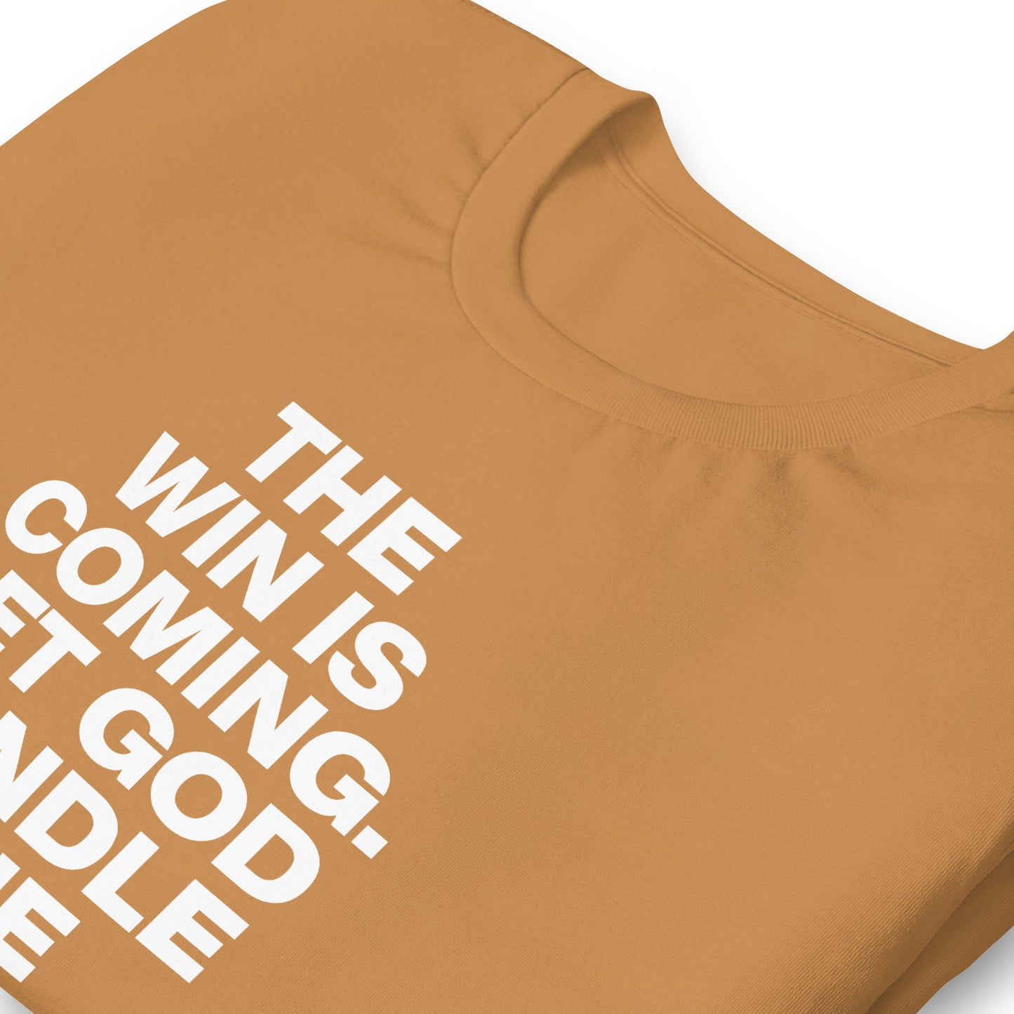 Win is coming tee